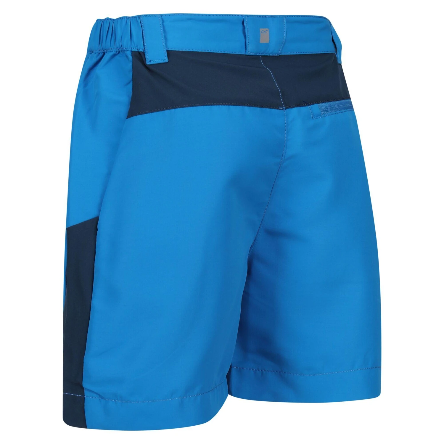 Regatta Sorcer Mountain III Kids' Hiking Shorts 2 Regatta Sorcer Mountain III Kids' Hiking Shorts - Image 2