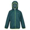 Regatta Great Outdoors Childrens/Kids Lever II Packaway Rain Jacket (Pacific Green)