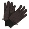 Regatta Mens Veris Winter Gloves (Ash)
