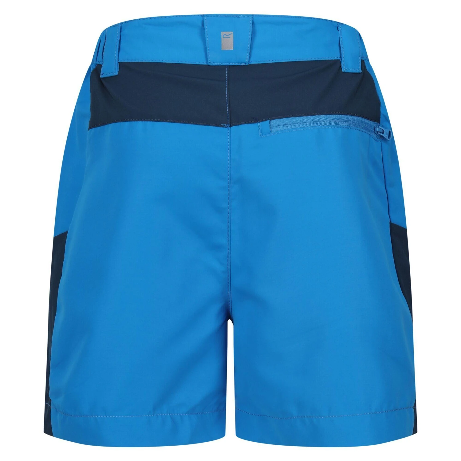 Regatta Sorcer Mountain III Kids' Hiking Shorts 6 Regatta Sorcer Mountain III Kids' Hiking Shorts - Image 6