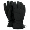 Regatta Unisex Adult Hand In Waterproof Ski Gloves (Black)
