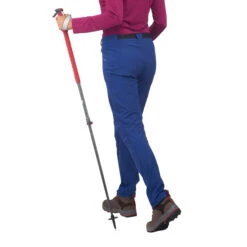 1 All Season Hiking Pole -Hiking Shop k609204af92ad3948200e152f9a2714df