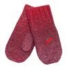 Puma Unisex Adults Sport Lifestyle Mittens (Rio Red)