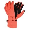 Dare 2b Womens/Ladies Acute Ski Gloves (Fiery Coral)