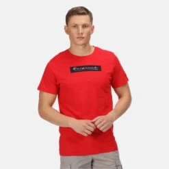 Regatta Cline VI Men's Walking Short Sleeve T-Shirt -Hiking Shop ka9f904ff0e4232354656e4ca20b9e392