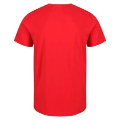 Regatta Cline VI Men's Walking Short Sleeve T-Shirt -Hiking Shop kbbaa3f379db99bfffade8a4f6a516bd9