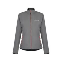 Dare 2b Womens/Ladies Centra Softshell Jacket (Smokey Grey)