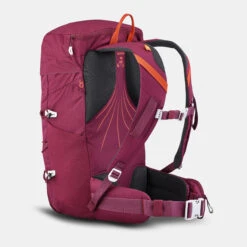 Quechua Mountain Hiking Backpack 20L 16 Quechua Mountain Hiking Backpack 20L -Hiking Shop ke04685c5b48e87c952a405238ef10234