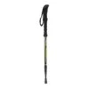 Regatta Unisex Adult Ultralite Lightweight Walking Pole (Black)