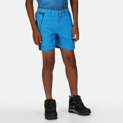 Regatta Sorcer Mountain III Kids' Hiking Shorts 10 Regatta Sorcer Mountain III Kids' Hiking Shorts -Hiking Shop kedd853002971bbb660c70caa119c1639